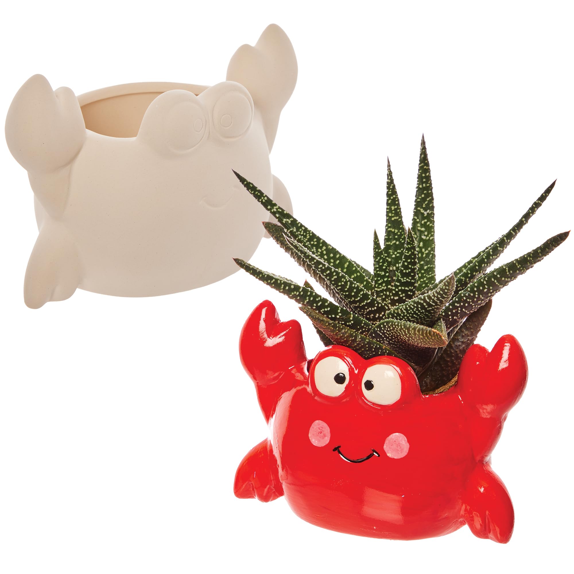 Baker Ross FX743 Crab Ceramic Flowerpots - Pack of 2, Ceramic Painting for Kids, Flower Pots for Kids