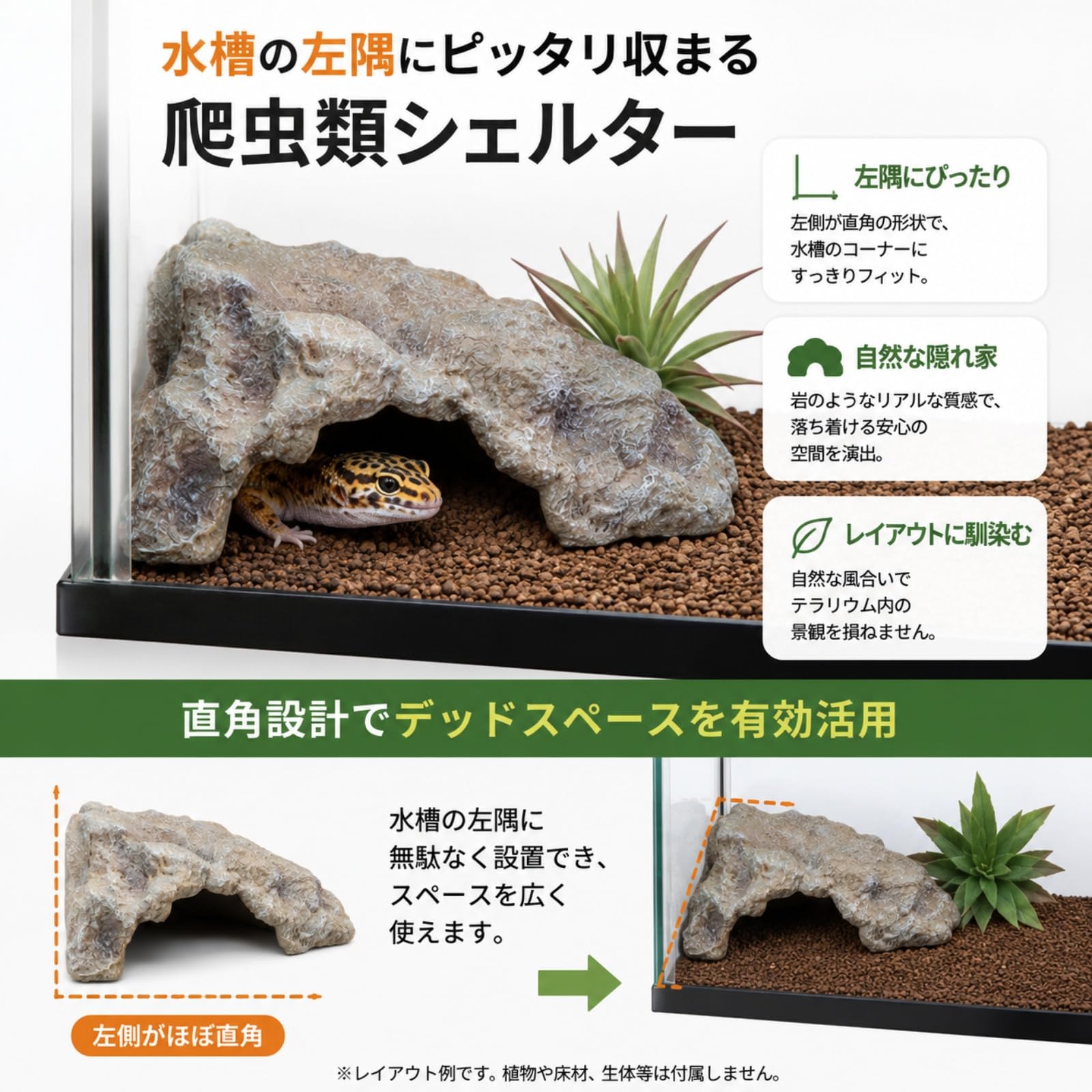 Amazon | Archnote 爬虫類 レオパ シェルター トカゲ カナヘビ 亀