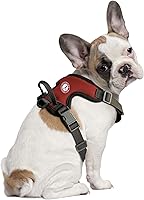 Vista 2 de Littlearth NCAA Unisex NCAA Front Clip Pet Harness
