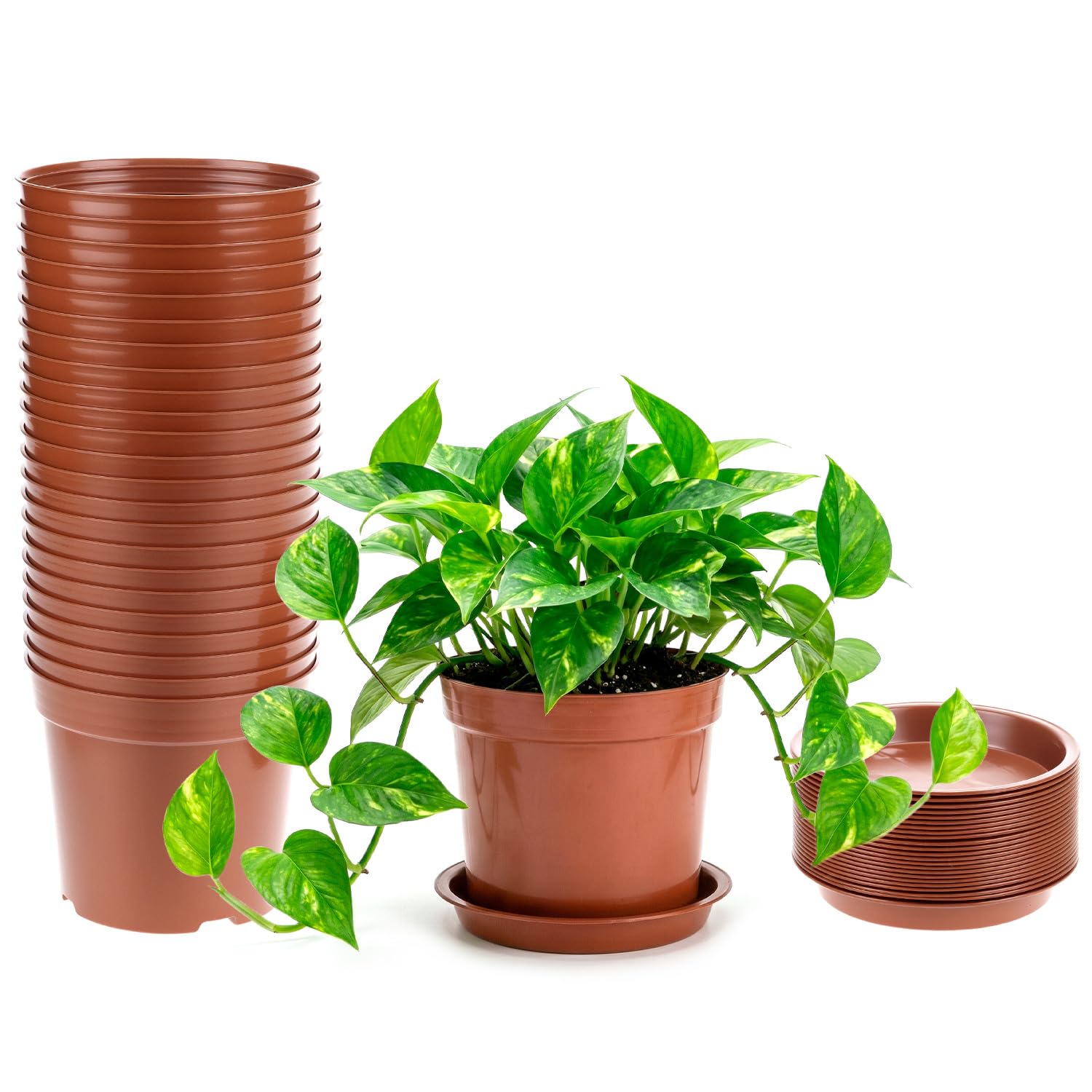 Qwork Brown Qwork® 24 Pack 10Cm Small Plastic Plant Pots With Drainage Holes & Drip Trays – Terracotta Nursery Pots For Herbs, Seedlings & Succulents