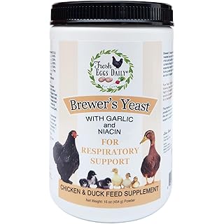 Fresh Eggs Daily Brewers Yeast Powder with Garlic & Niacin for Chicken & Duck Backyard Flocks - Suitable for Young Chicks & Ducklings - Supports Healthy Bone Development, Digestion & Immunity - 1lb