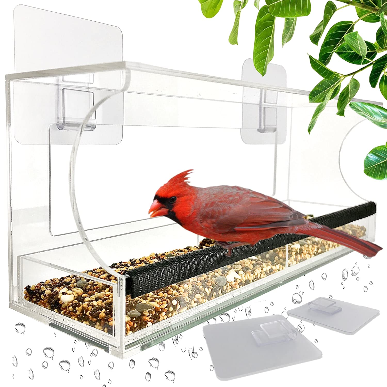 Buy Window Bird Feeder with Removable Seed Tray and Super Strong