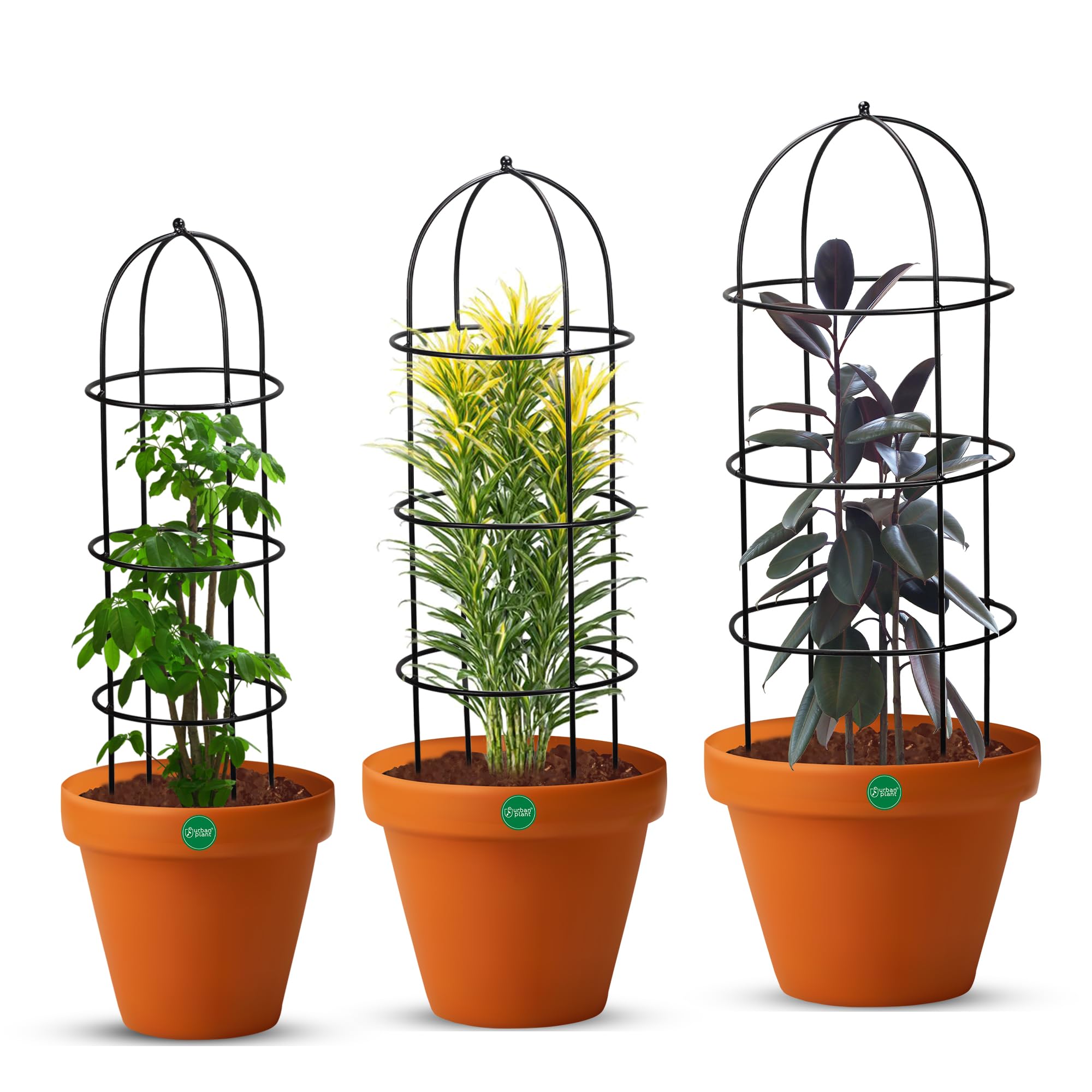 Urban Plant Trellis for Climbing Plants (Pack of 3) – Sturdy Plant Support for Indoor & Outdoor Climbers – Ideal for Vines, Vegetables, and Flowering Plants | Metal Wire Mesh Frame (B0DHHCRNQB) Amazon Price History, Amazon Price Tracker