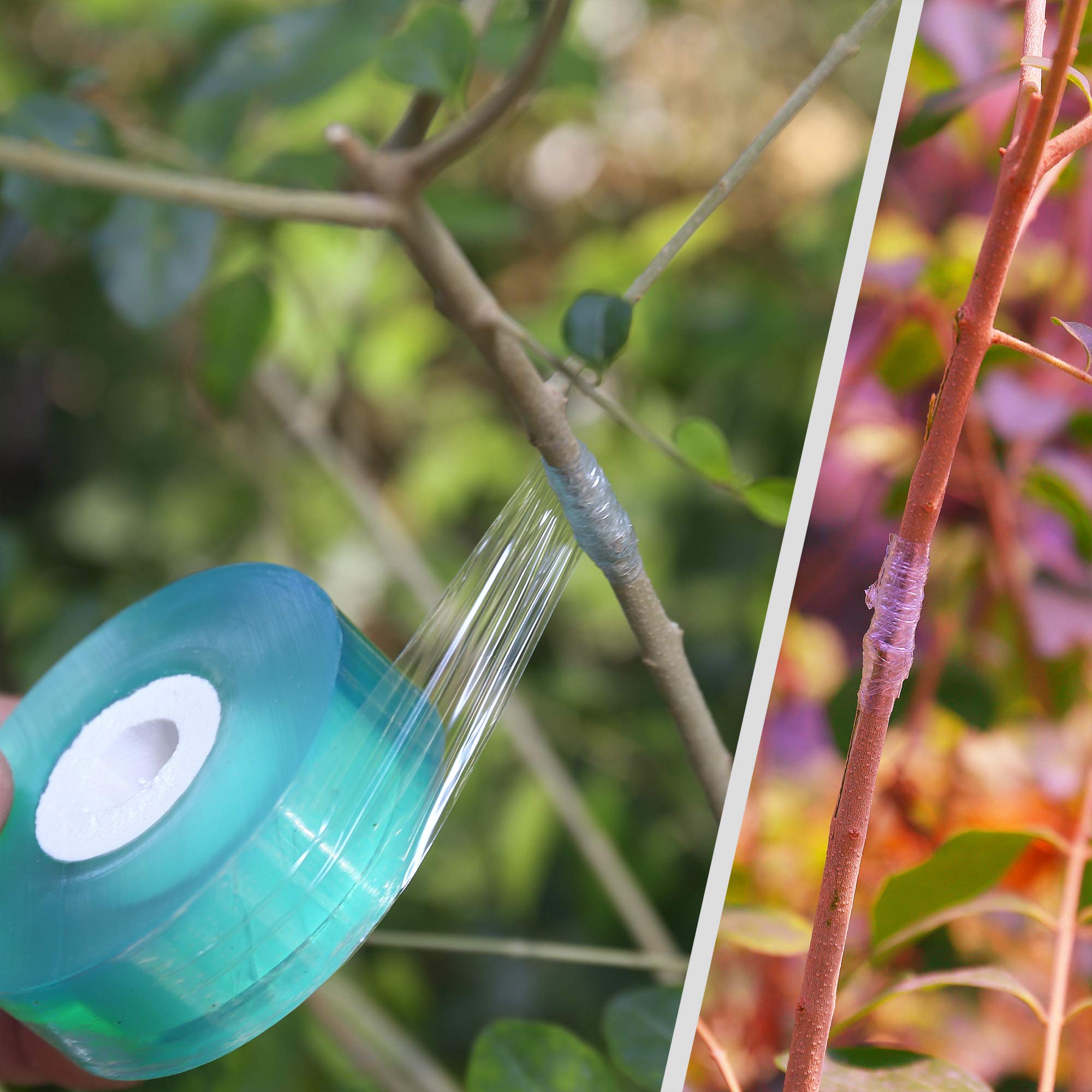 Enten Tape, 3 CM x 100 M PVC Enten Rekbare Tape Doorzichtige Waterdichte Bloemisterij Enten Film voor Fruitboom, Plant Reparatie Tape