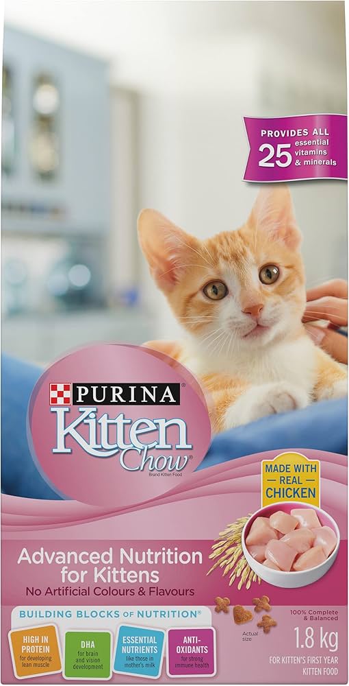 What Age Can A Kitten Eat Solid Food What Age Can A Kitten Eat Solid Food