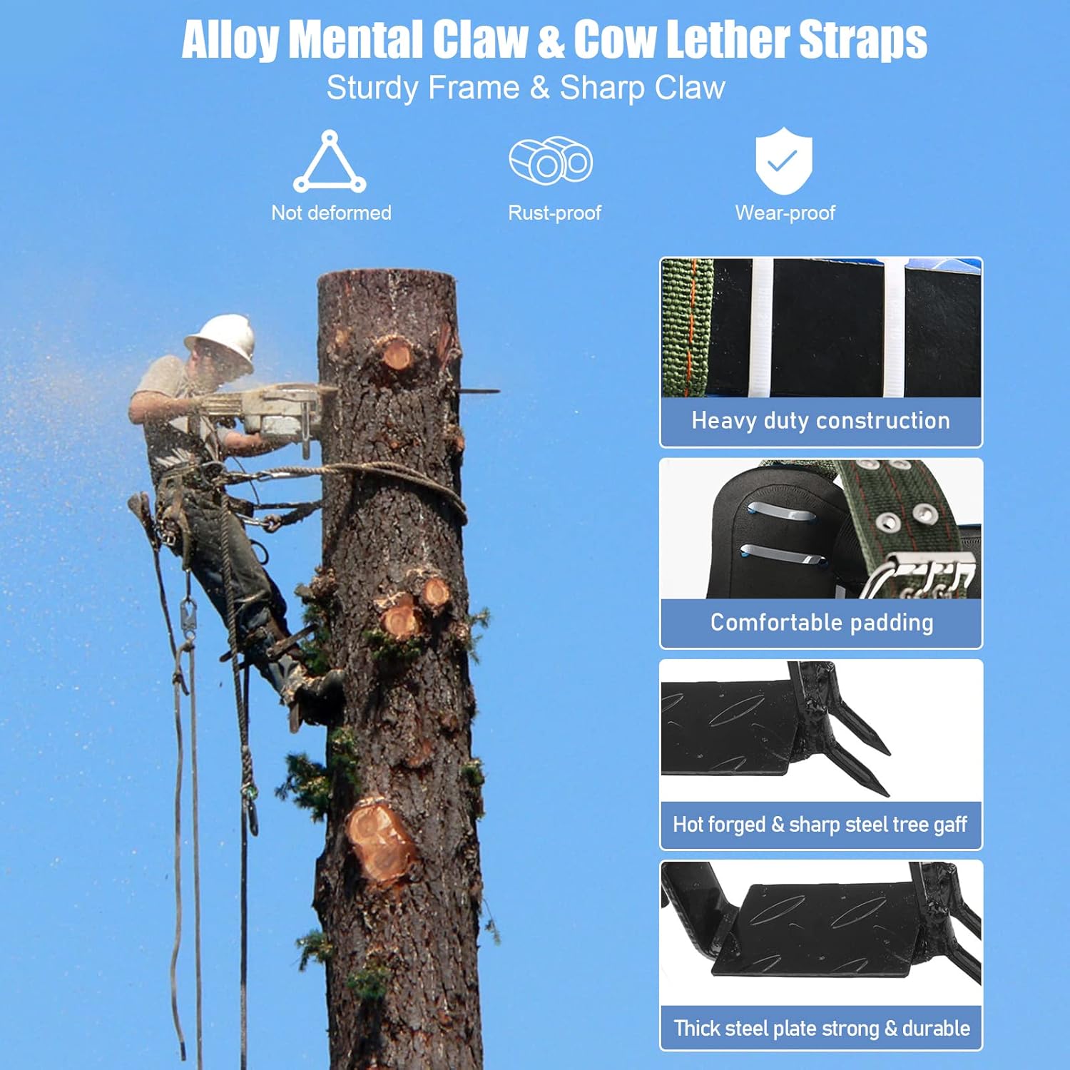 TWSOUL Tree Climbing Gear, with Adjustable Climbing Belt and Rope, 304 Stainless Steel Tree Climbing Spikes 2 Gears for Climbing Trees, Outdoor Jungle Survival, Picking Fruit, Sports : Sports & Outdoors