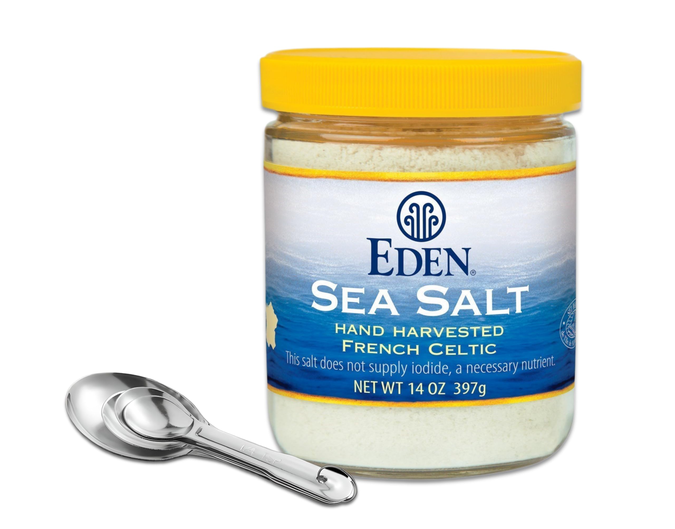 Celtic Sea Salt 14 oz | Bundled with ONDAGO Measuring Spoon Set (Pack of 1)