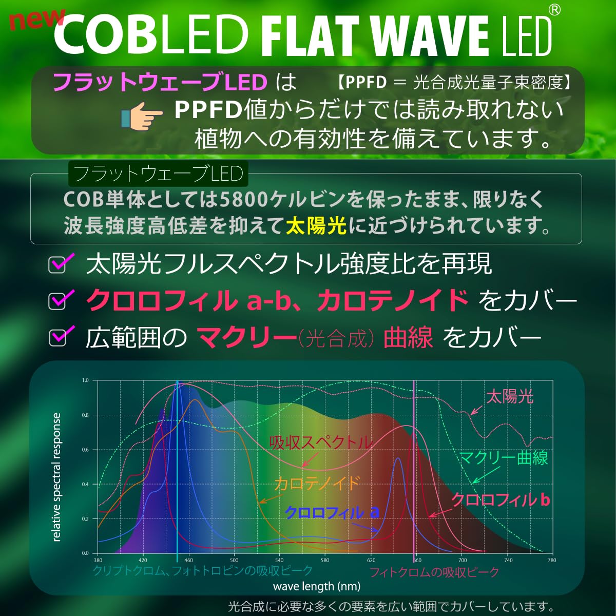 Amazon.co.jp: HaruDesign 植物育成ライト GL-A 6K FtW マットホワイト