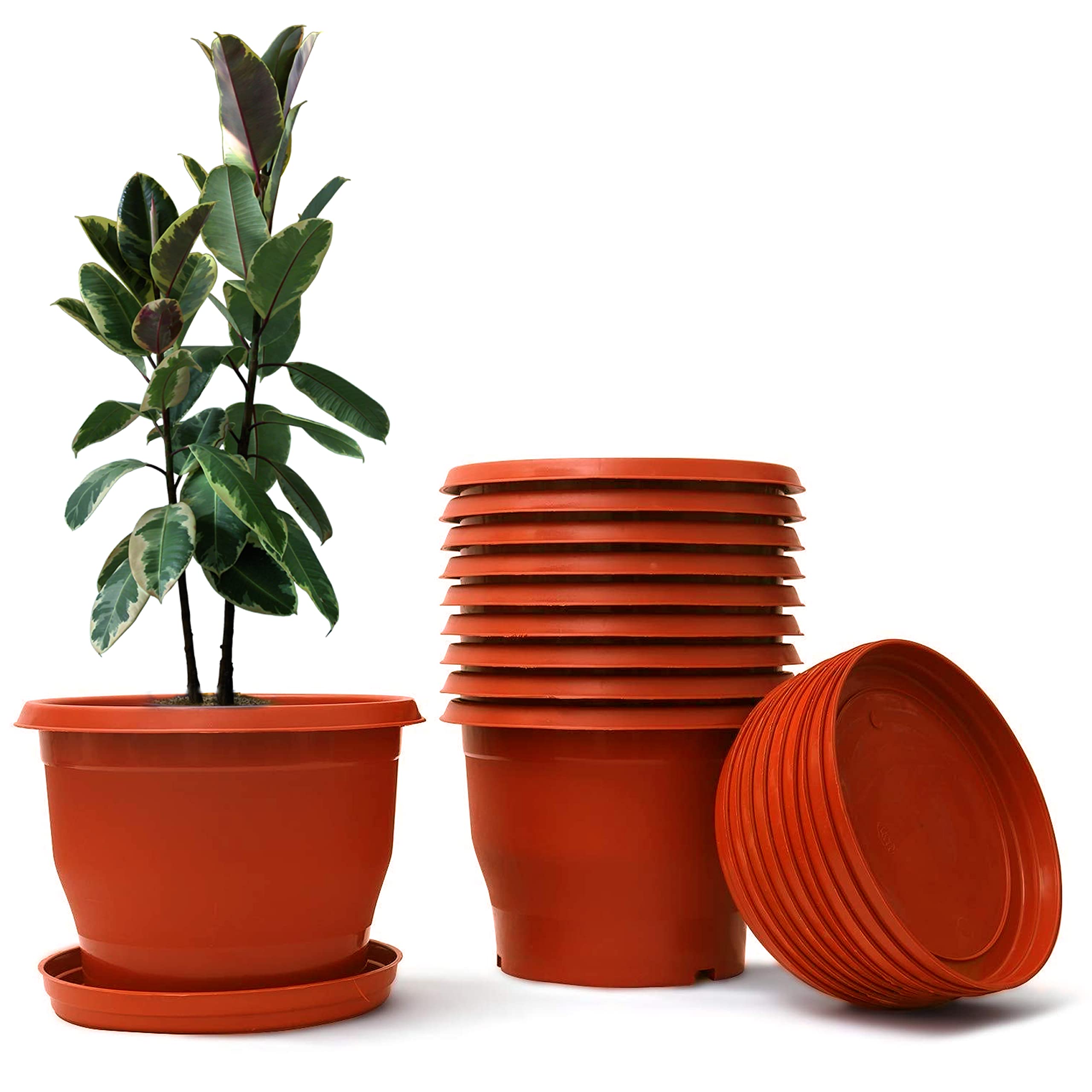 Agora Round Decor Flower Pot for Plants 12 Inch Virgin Plastic Indoor/Outdoor/Balcony/Garden Pots for Plants Plastic Gamla for Flowers, Herbs, Cactus Plant Pot with Drip Trays - Pack of 10 (Brown) (B0D8ZWVV28) Amazon Price History, Amazon Price Tracker