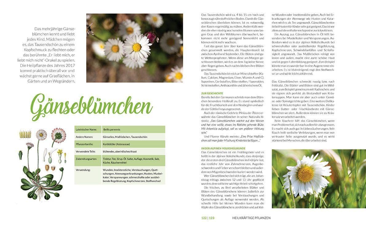 Heilkräuter aus den Alpen: Die Naturapotheke für Wohlbefinden und Genuss. Mit vielen Rezepten für Speisen, Getränke, Salben und Einreibungen