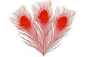 LONDGEN Red Peacock Feathers for Craft Feather Mask Making Decoration