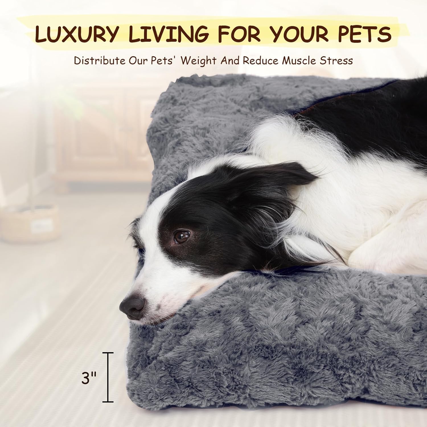 Cozy Canine Retreat: Review of the Fluffy Dog Bed & Squeaky Toy!