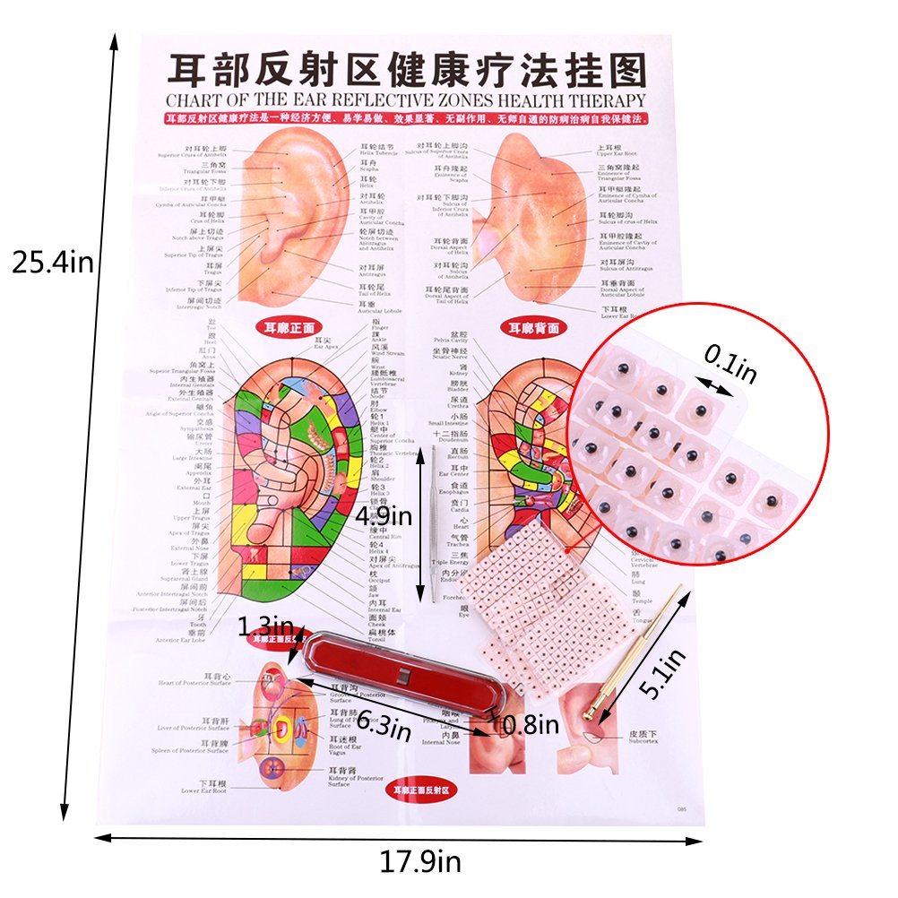 Yiphates 600 Counts Ear Seed Kit, 1Pcs Probe, 1Pcs Acupuncture Chart, 1Pcs Tweezers : Health & Household