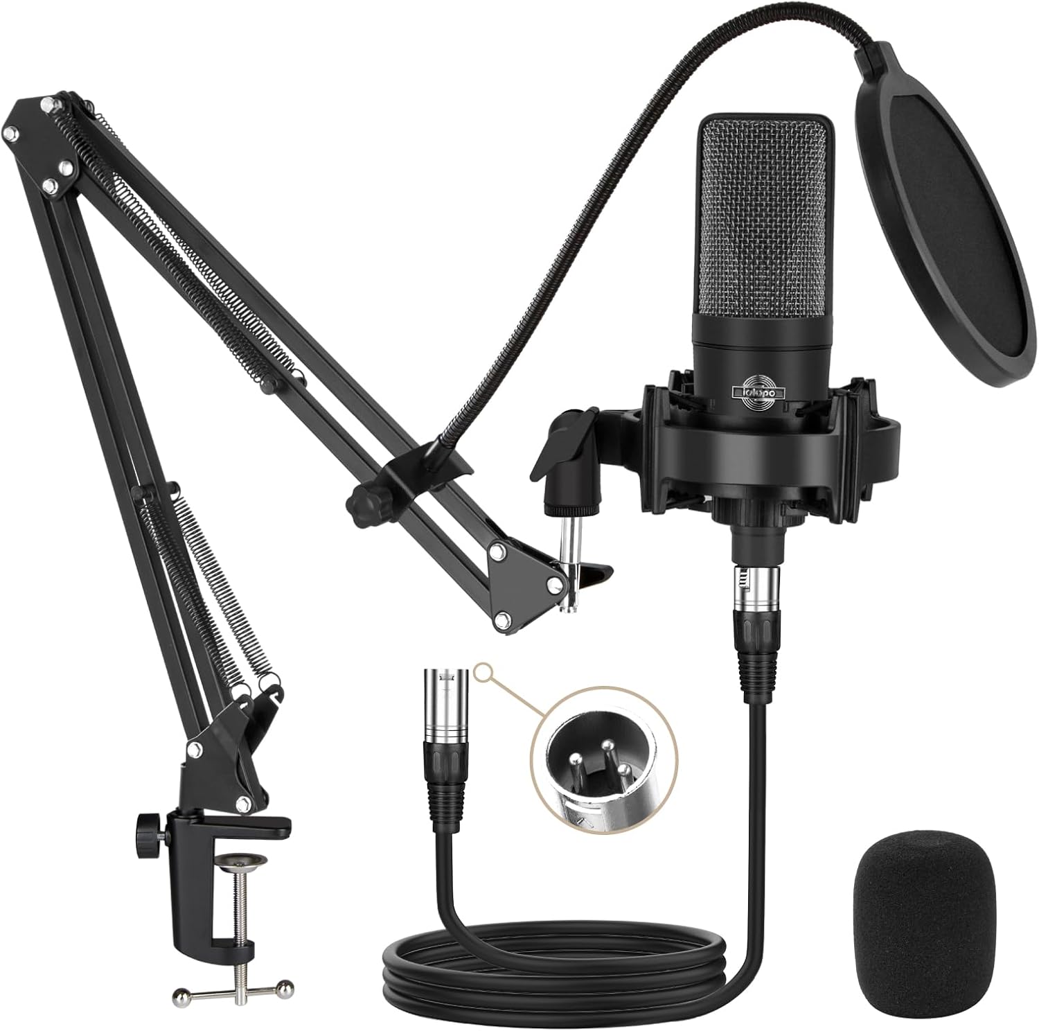 iQlQPQ Condenser Microphone XLR, Professional Studio