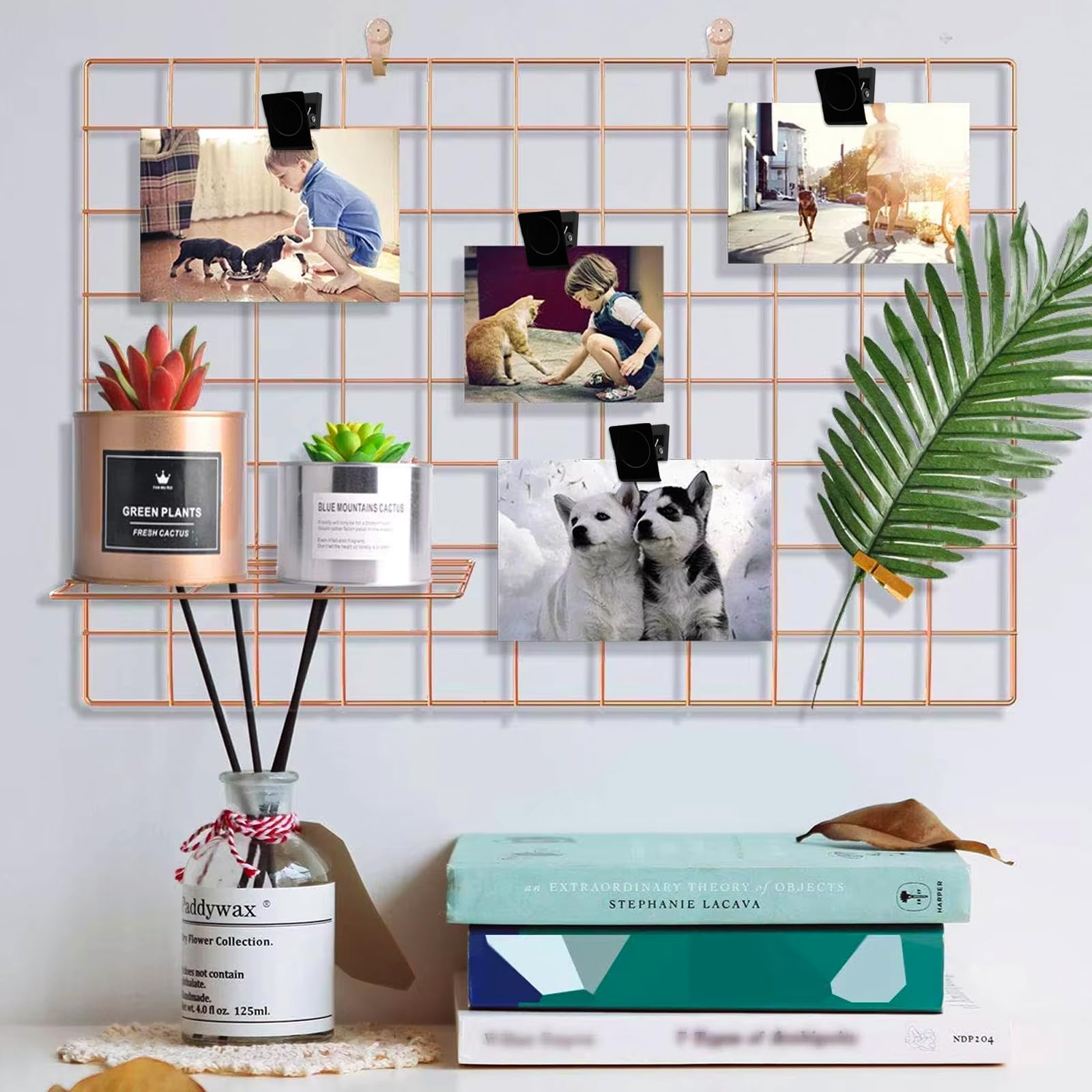 Calamite Per Frigorifero A Forma Di Fiore - Set 30 Pezzi Colorati, Decorativi E Pratici