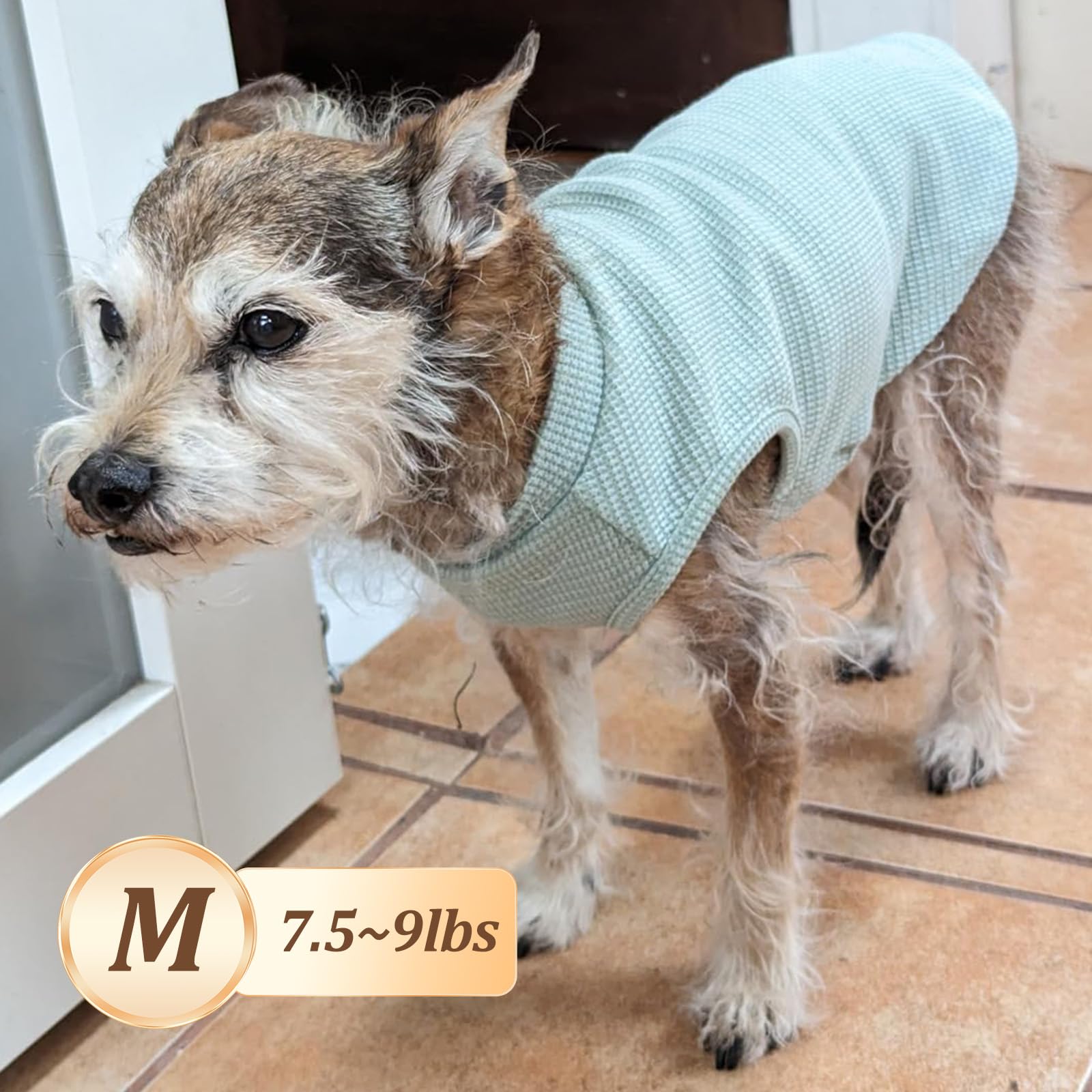 Amazon.com : KYEESE 2Pack Dog Shirts Waffle for Small Dogs