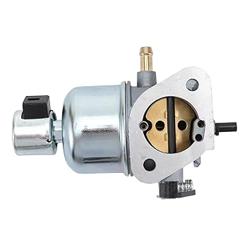 Amazon.com: WOOSTAR Carburetor with Gaskets Replacement for