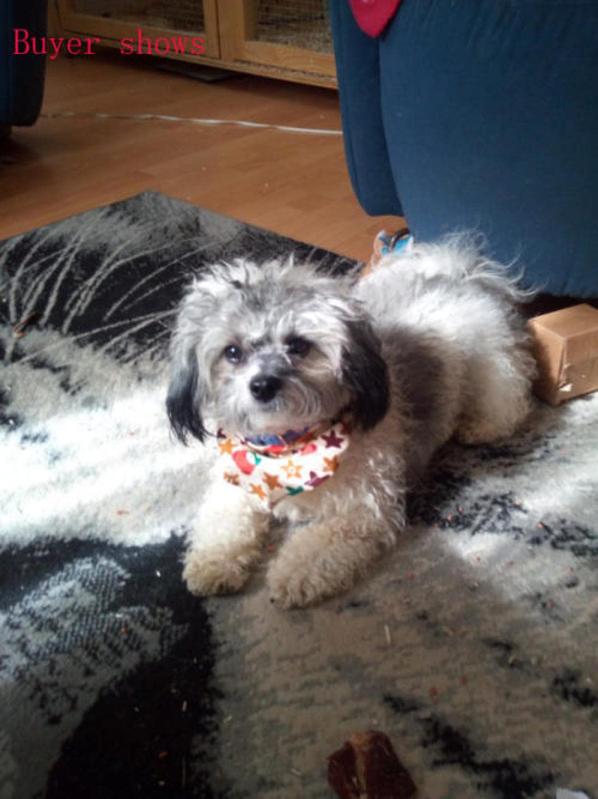 Bandanas pour chiens de style mixte mignon, chiot, chat, écharpe, accessoires de toilettage pour chiens de petite et moyenne taille, 60 pièces M