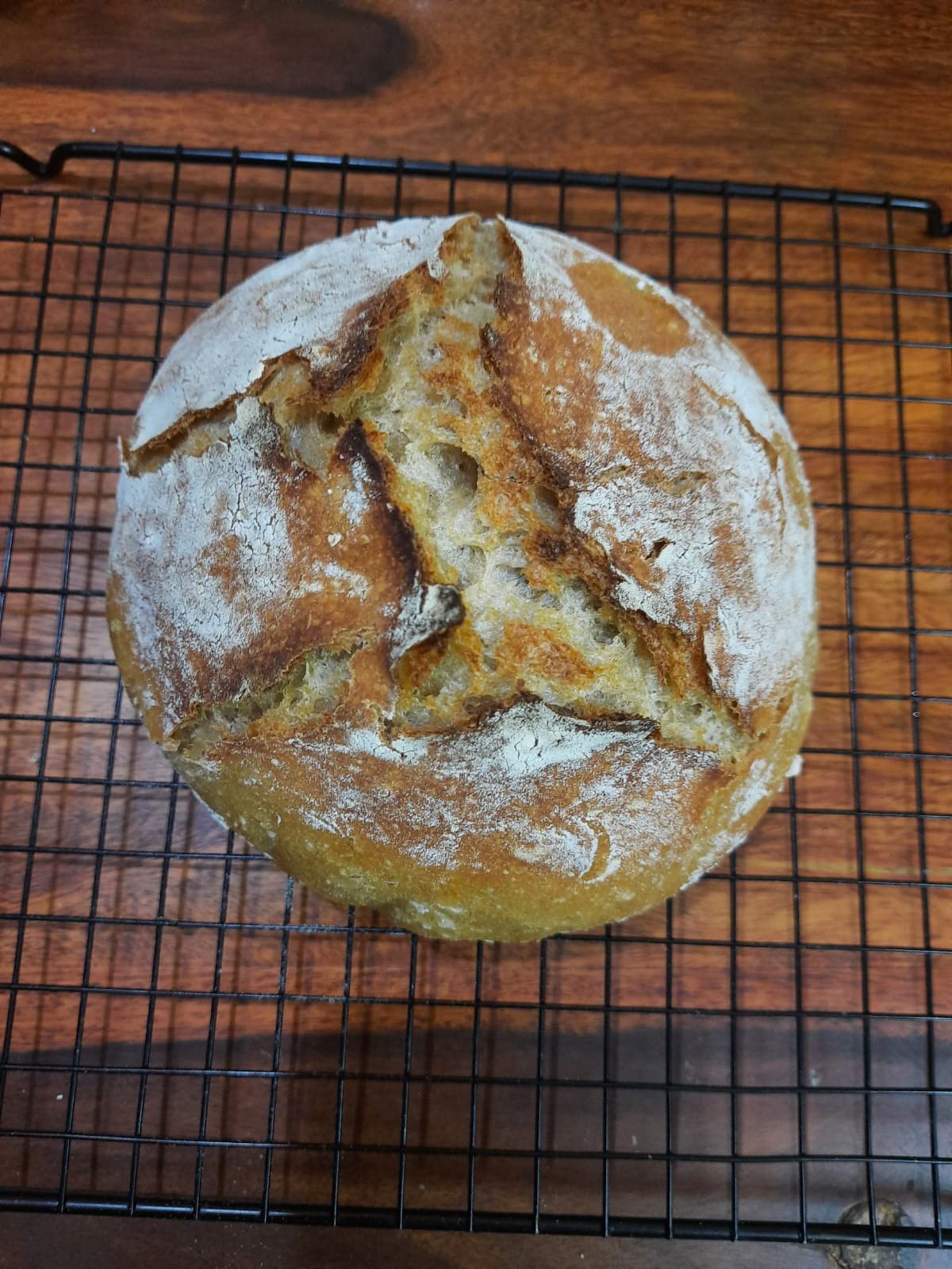Buy Flour Water Salt Yeast: The Fundamentals of Artisan Bread and Pizza ...