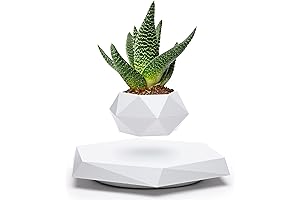 White Floating Plant Pot: Levitate Plants with Magnetic Magic