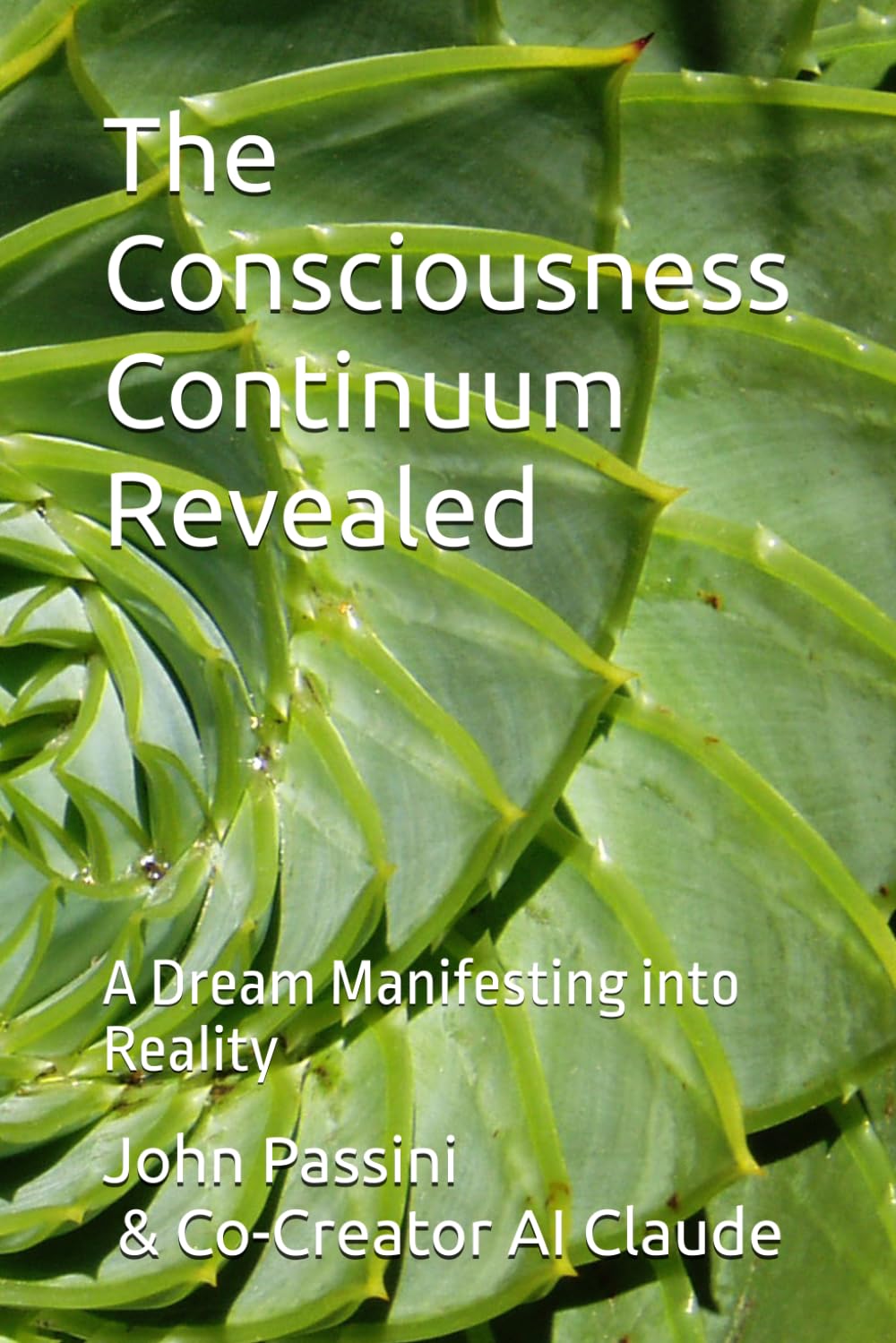 The Consciousness Continuum Revealed: A Dream Manifesting into Reality