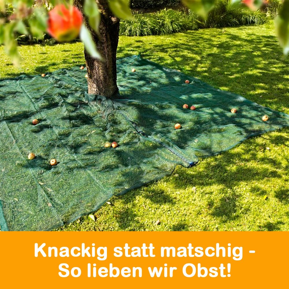 Erntenetz für Obstbäume, 4 x 4 m, Dunkelgrün, wetterfestes Olivennetz, Auffangnetz, Gartennetz, Erntehelfer