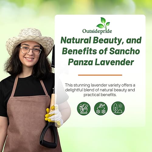 Miniatura 5 de outsidepride LavandaSancho Panza Púrpura
