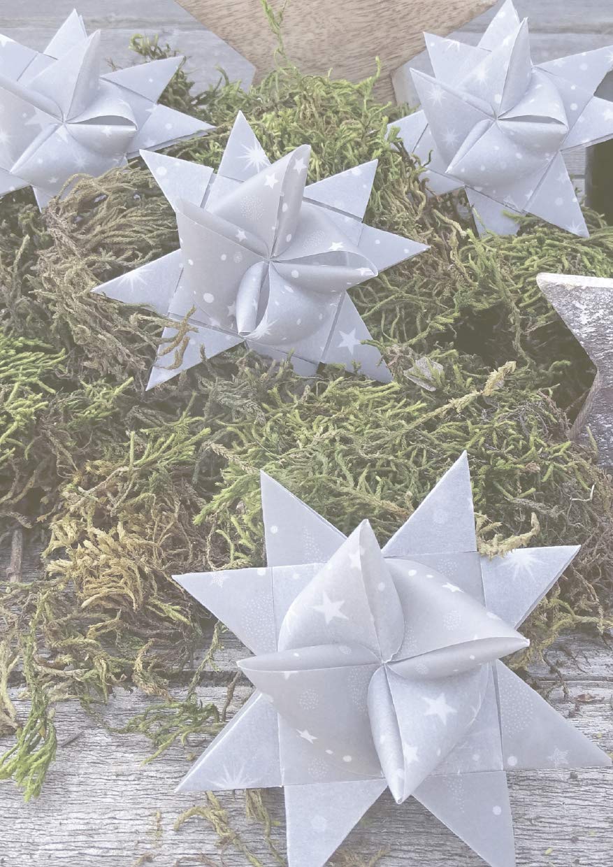 Papierstreifen Für Fröbelsterne – 50 Stück, Weiß, 1,9 X 48,3 Cm, Zum Basteln Von Weihnachtssternen