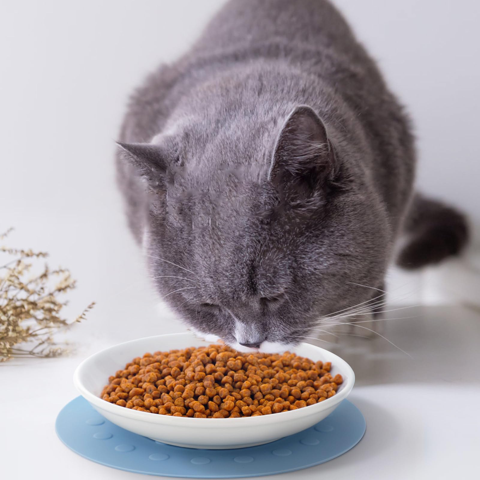 Lot de 3 gamelles pour chat en céramique : comprend une gamelle pour chiot et une gamelle d'eau avec tapis de gamelle