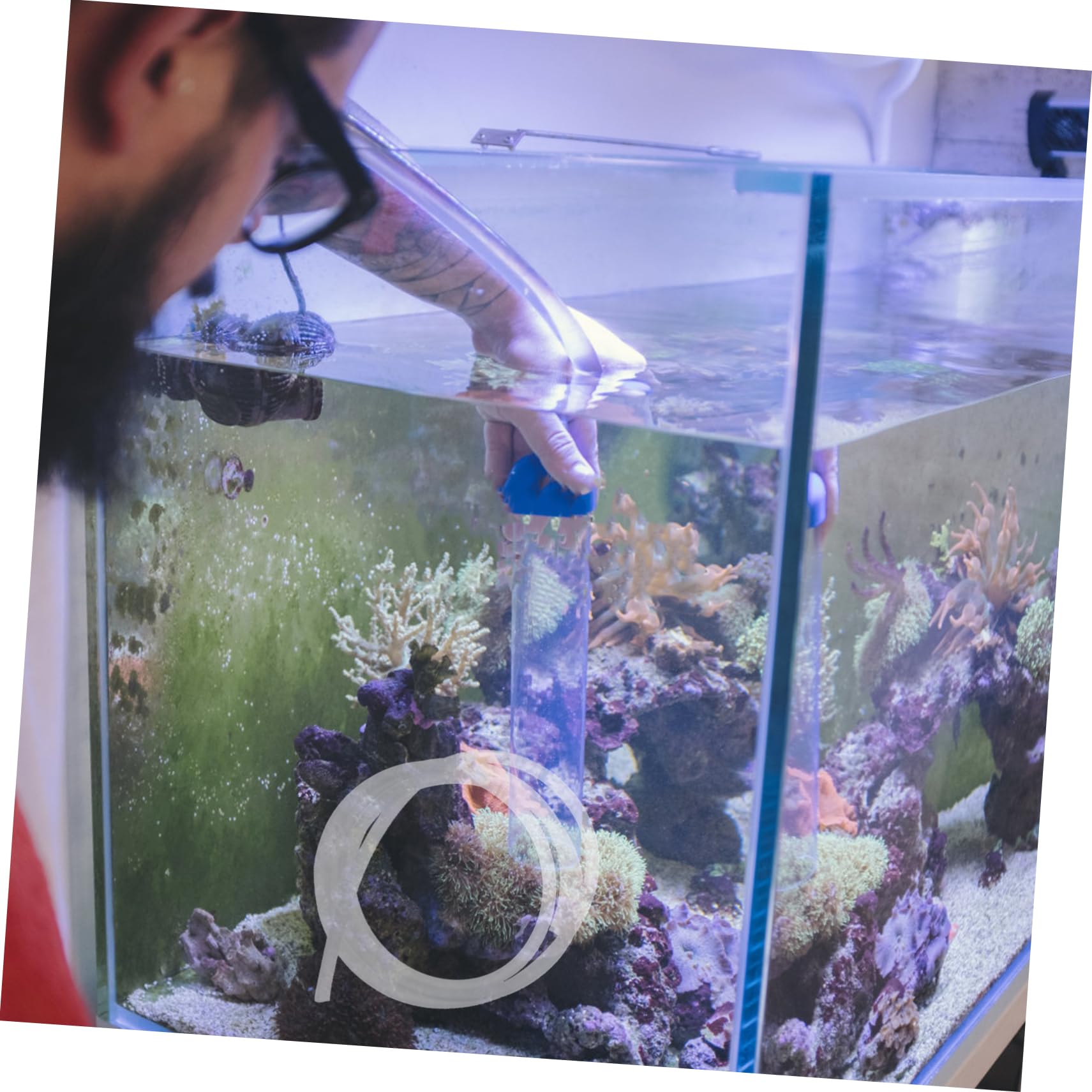 2 set di accessori per la schiusa di pesci e gamberetti, retino da atterraggio, setaccio per incubatoio, setaccio per incubatoio di gamberetti, retino da immersione, mini rete da pesca, rete per