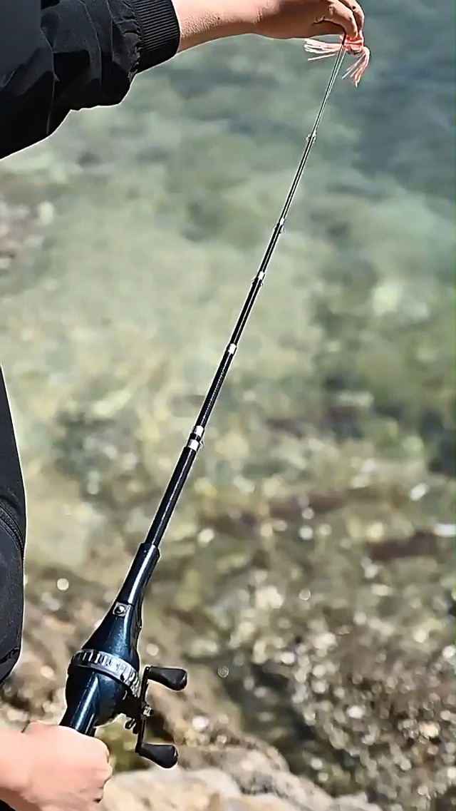 bass pro fishing pole signature series KastKing Royale Legend Casting Rods Casting / 7'5" / Moderate-Medium Heavy-Deep Crankin The Lews Team Lews Signature Series Rods utilize FOCAS Blank technology Bass Rod Spinning Combo Best