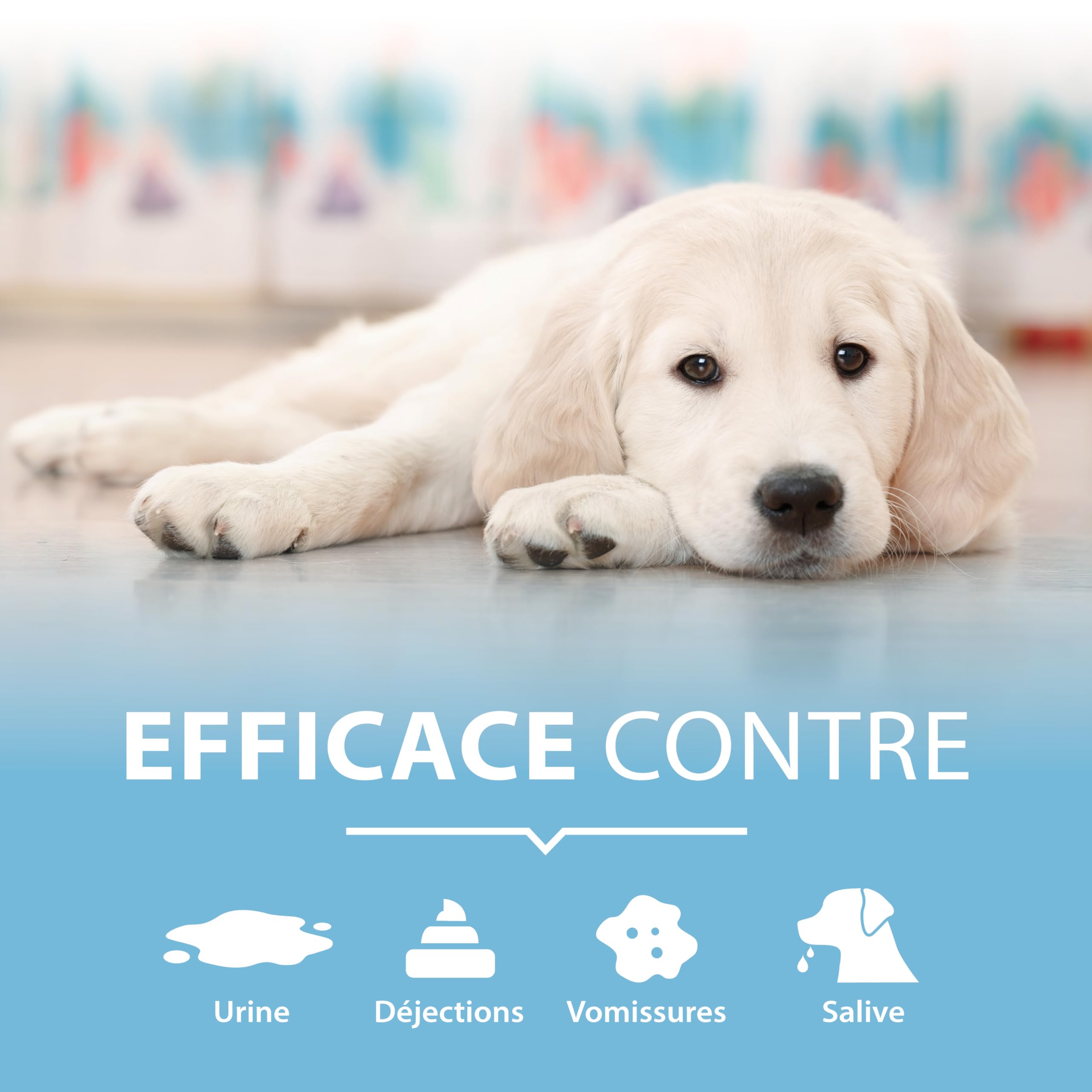 Détachant urine chien 750 ml – spray enzymatique extra fort contre odeurs & taches d’urine, vomi & excréments – nettoyant bio textile, sol, tapis & canapé – sans résidus, sans danger, sans parfum