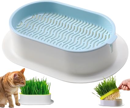 Cat Grass Planter No Seeds Included Hydroponic Wheatgrass Planting Trays Cat Grass Growing Kits for Indoor Cats Soilless Organic Nursery Box Pet Grass Pot Blue