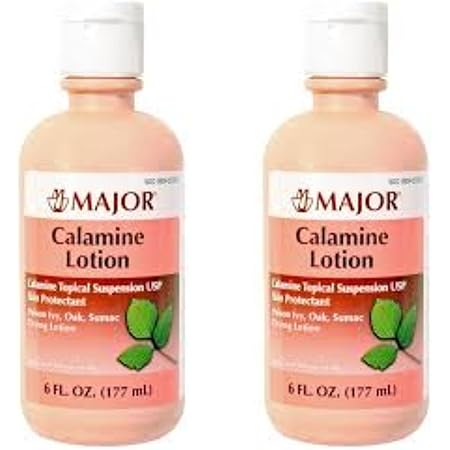 (2 PACK) CALAMINE DRYING LOTION TOPICAL SUSPENSION USP SKIN PROTECTANT 6 OUNCE, , 2 PACK