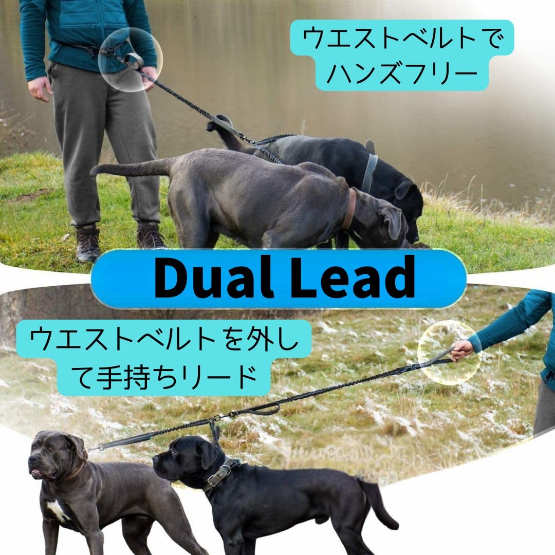犬用【本革】ハンドフリーリードandハーネス多頭飼い用！2匹❗️