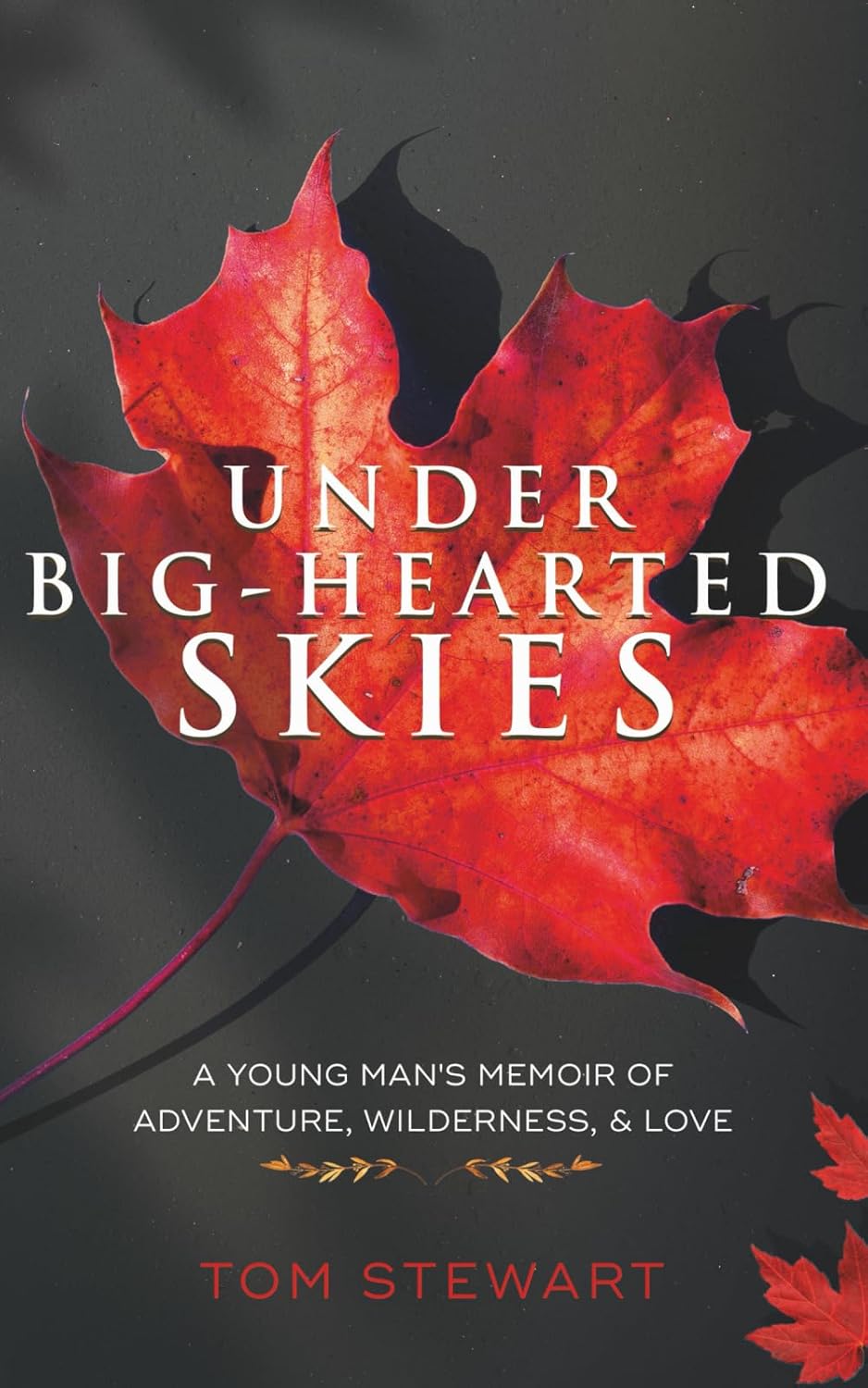 Under Big-Hearted Skies: A Young Man's Memoir of Adventure, Wilderness, & Love