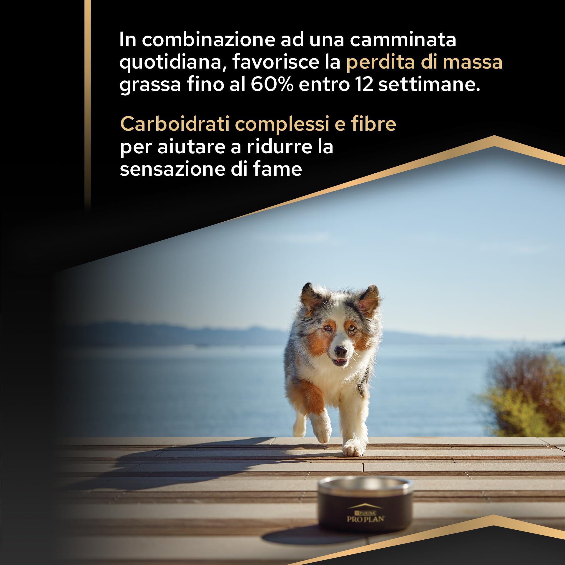 Purina Pro Plan Optiweight Adult Crocchette Cani 14 kg