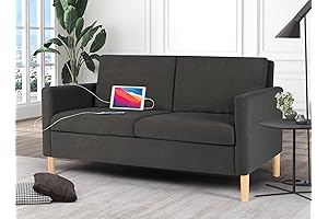 StHouyn 56 W Fabric Loveseat Sofa with 2 USB