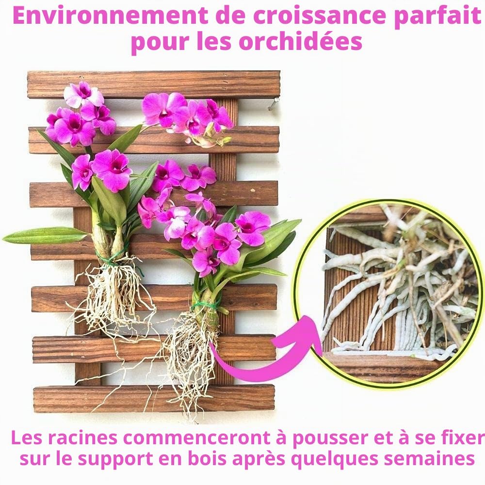 ShopLaLa Jardinière murale – Support en bois pour plantes succulentes d'intérieur et d'extérieur, orchidée vivante Cadre d'affichage vertical pour jardin, balcon, terrasse, salle de bain, Macetas para