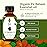 SVA Fir Balsam Essential Oil Organic - 1 Fl Oz - 100% Natural Organic Fir Oil - for Diffuser, Hair Care, Face, Skin Care, Aromatherapy, Scalp and Body Massage, Soap and Candle Making - with Dropper