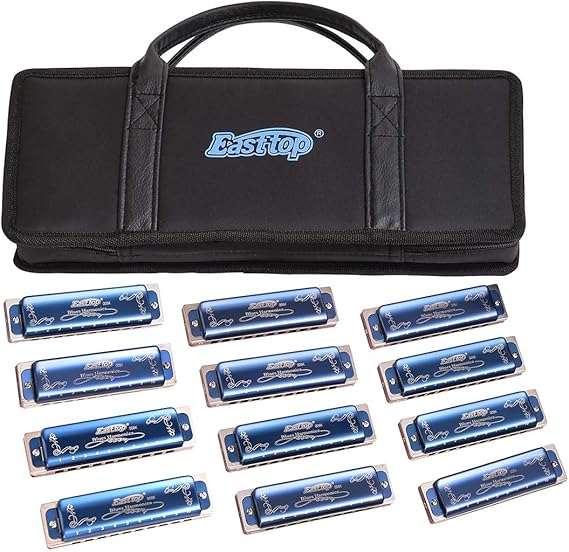 Harmonica Set 12 key blues harp 008K Professional Diatonic
