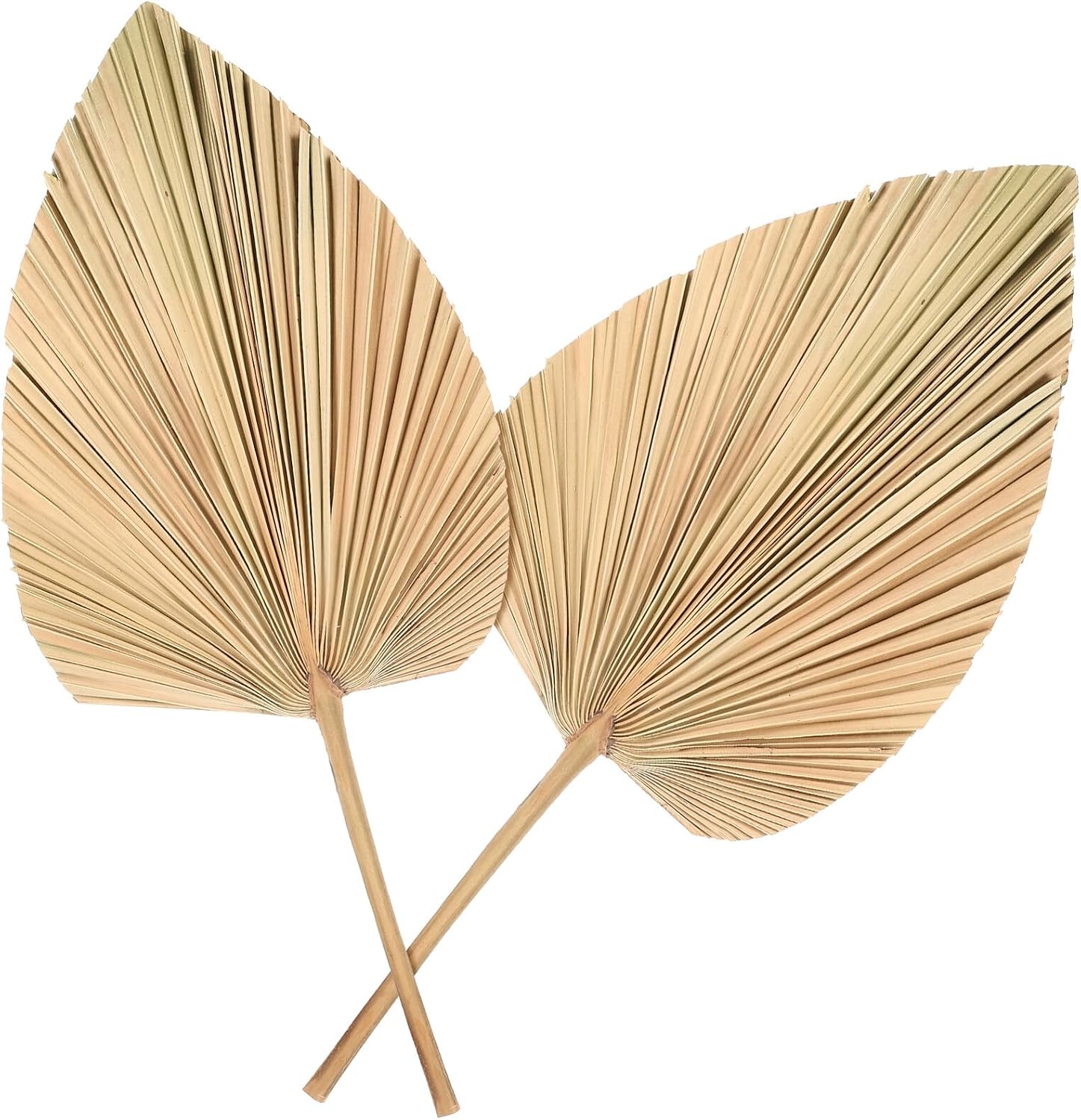 VALICLUD Dried Palm Leaves Decor 2Pcs 30X25Cm Natural Fan Leaves Heart-Shaped Boho Wedding Wall Floral Arrangement Home Decoration