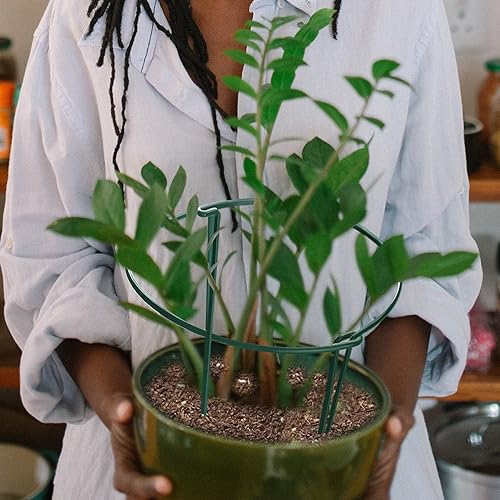 Miniatura 7 de HiGift Paquete de 10 estacas de soporte para plantas, estaca de metal semicircular para plantas de jardín, jaulas y soportes de peonía para