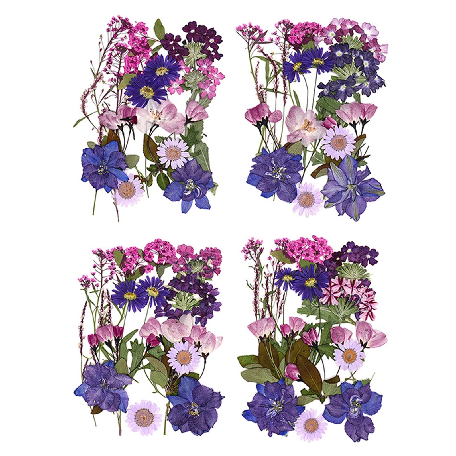 Gepresste Blumen 2 Stück getrocknete Blumen, gepresste