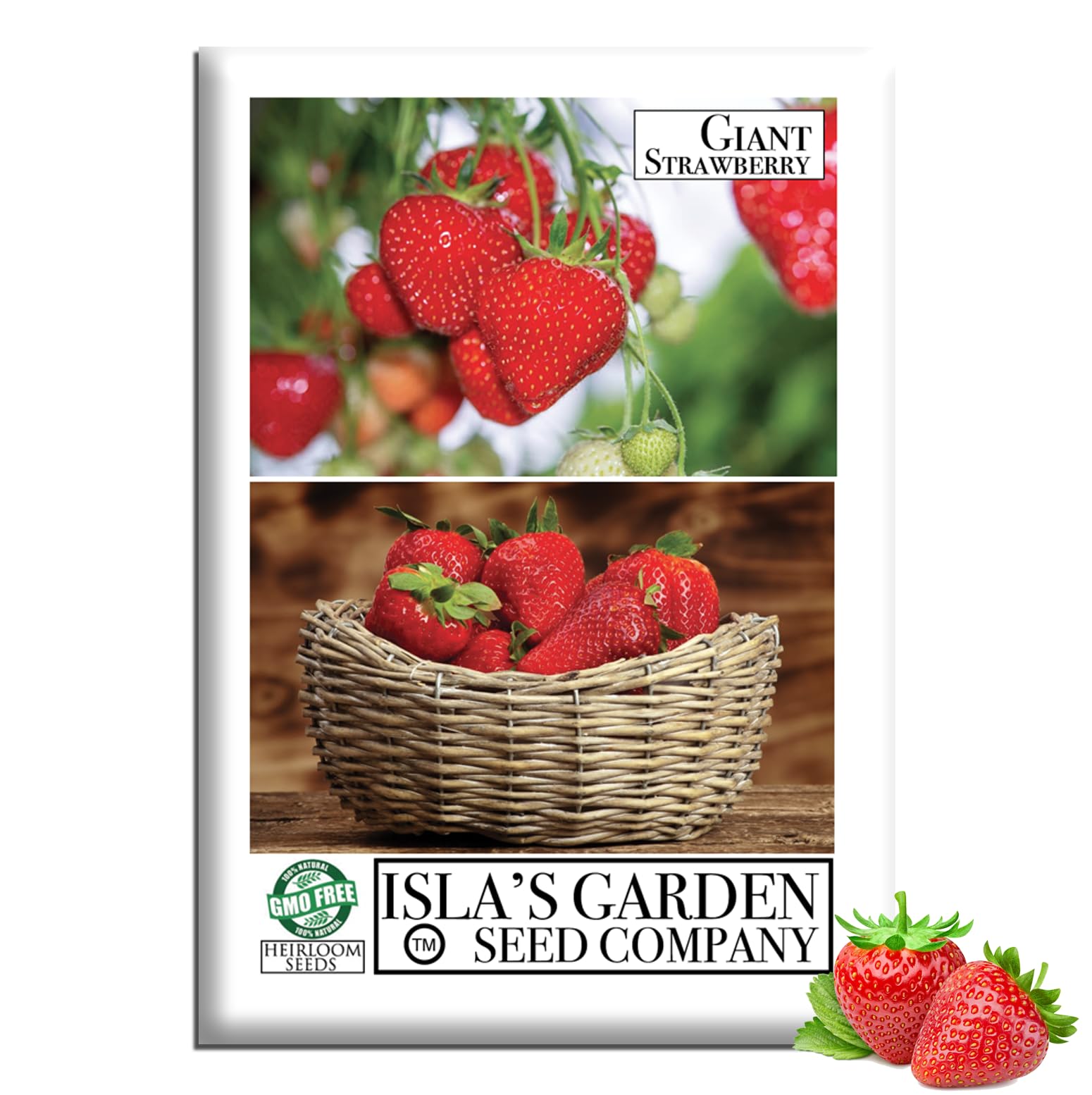 Amazon.com : Giant Strawberry Seeds (Fragaria vesca)  50 Heirloom Non-GMO  Seeds by Isla's Garden Seeds, Large Sweet Red Berries, Productive Garden  Fruit Plants, Perfect for Raised Beds & Containers or Pots :