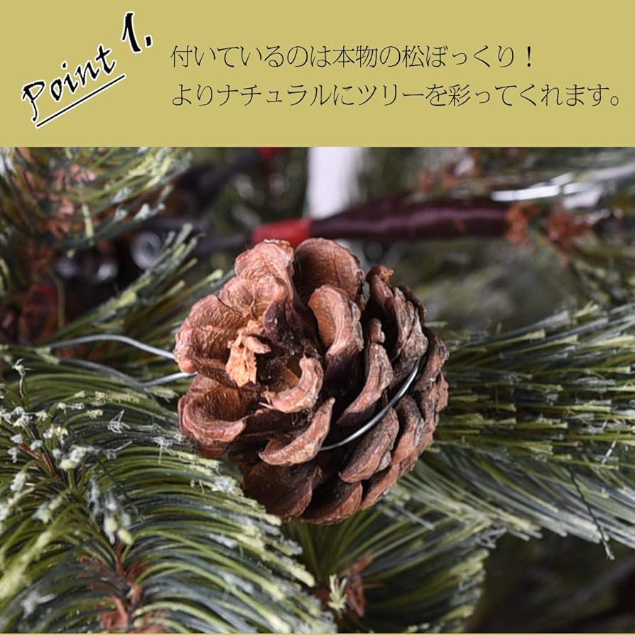 北海道産 松ぼっくり ドイツトウヒ 150本 クリスマスツリー 北海道産 北海道産 松ぼっくり ドイツトウヒ 150本 クリスマスツリー 北海道産