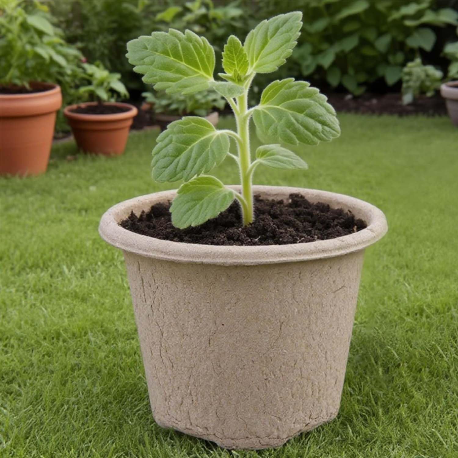 30 Pezzi Vasetti Per Piantine, Vasi Biodegradabil, Vasi Per Semi In Fibra Biodegradabile, Completo Con 30 Etichette In Plastica, Per La Propagazione Delle Piante, Semi, Fiori, Frutta e Verdura