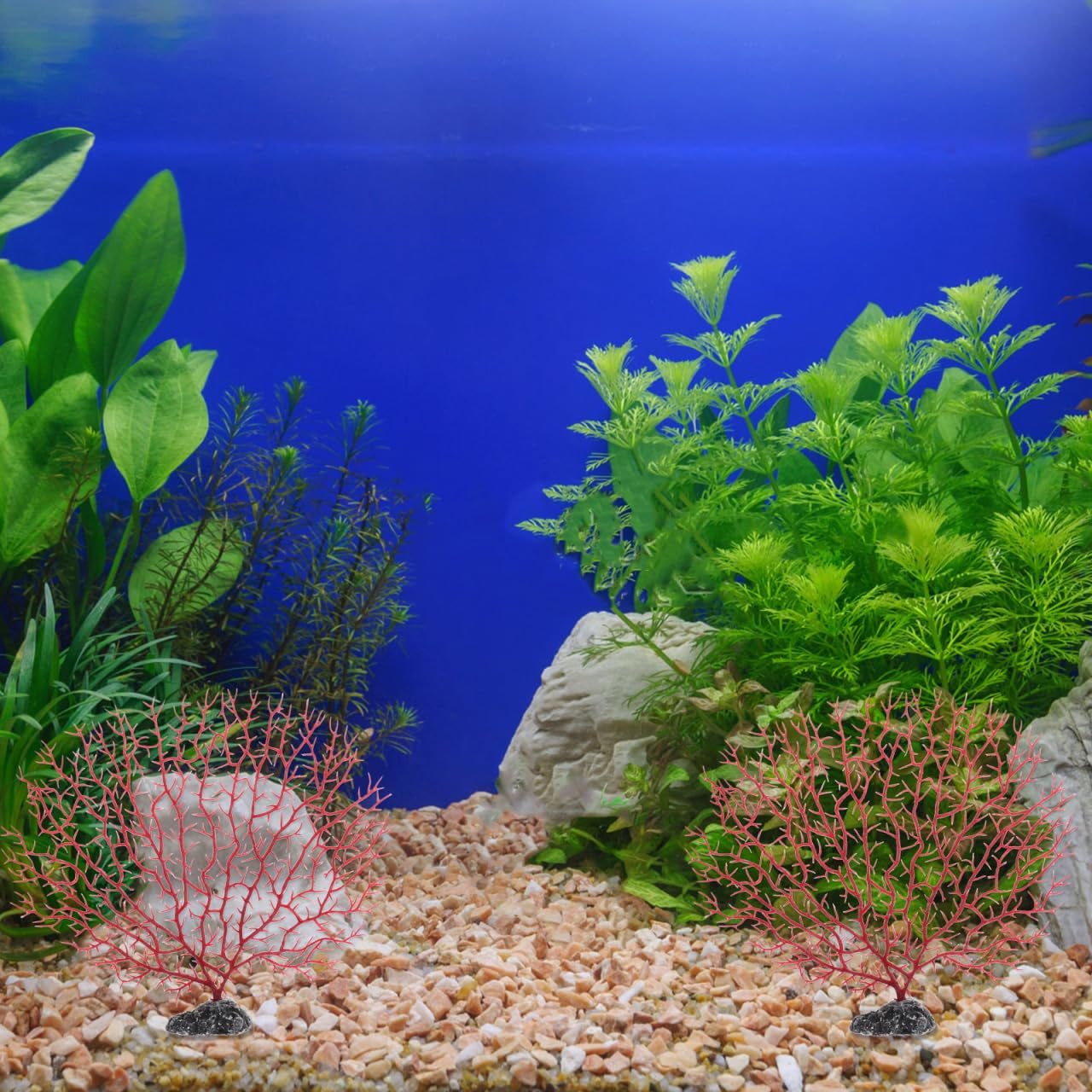 Happyyami Lot De 2 Branches De Corail Artificielles pour Aquarium Plantes Plastiques Ornementales De Taille Moyenne Décoration Naturelle Et Refuge pour Poissons