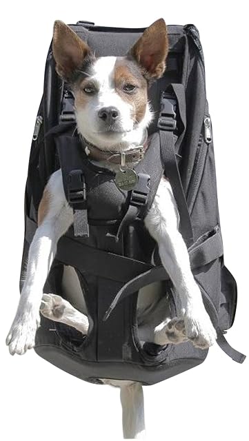 Prima Patentado Dog Carrier - Gran Bolsa para Perros/Arnés de Transporte para Perros/Mochila…