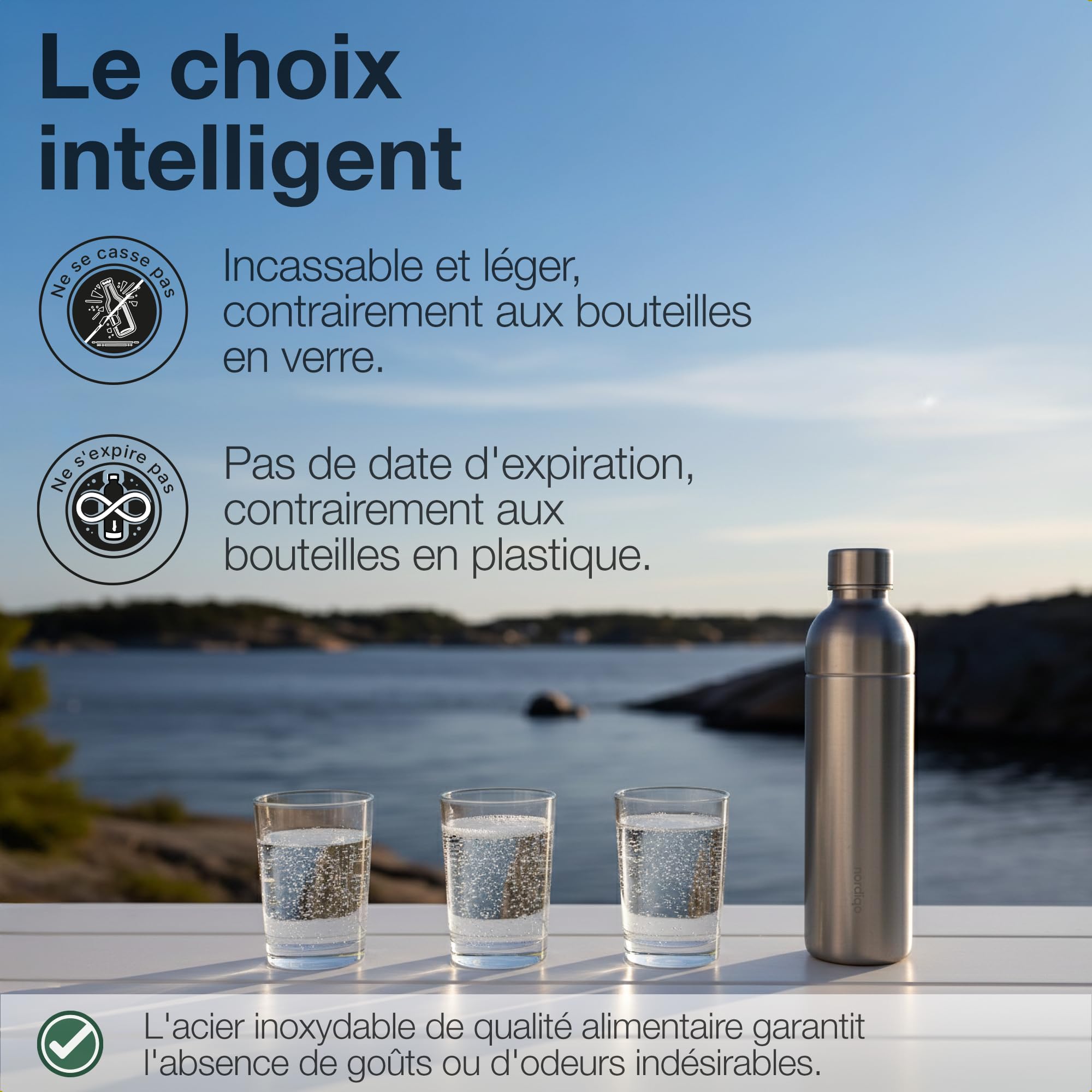 Bouteille Inox 1L | Compatible avec Aarke Carbonator 3, SodaStream Duo & Bouteilles Plastique | Pas pour Crystal & Jet | Sans date d'expiration | Sans plastique | 2x Inox